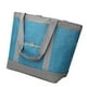 thumbnail image 1 of Bolsa térmica portátil y resistente, de tela duradera, ¡mantiene tus alimentos frescos vayas donde vayas!, 1 of 4