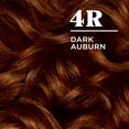 thumbnail image 2 of Clairol Nice'n Easy Permanent Hair Color Cream, 4R Dark Auburn, Hair Dye, 1 Application, 2 of 8