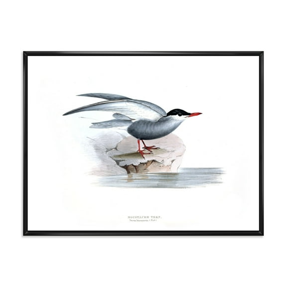 Designart 'Ancient Bird Of Europe I' Traditional Framed Canvas Wall Art Print