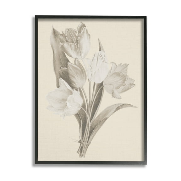 Stupell Industries Antique Tulips Drawing Botanical & Floral Drawing Black Framed Art Print Wall Art, 11 x 14