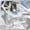 silver, variant on lacooooppia Motorcycle Engine Guard Base Shield for Honda Pcx160 Vario160 Replacing silver