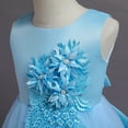 thumbnail image 4 of HAWEE Little Big Girl Tulle Dress Vintage Flower Lace Princess Pageant Wedding Birthday Party Floor Long Formal Evening Maxi Gown, 4 of 6