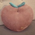 thumbnail image 2 of 4 colors Simulation Fruit Pilow With Blanket Stuffed Peach Cushion Soft Kawaii Peaches Sofa Pillow Lovely Girls Birthday Gift zhangmengya LED, 2 of 2