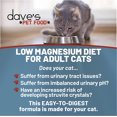thumbnail image 2 of Dave's Pet Food Urinary Tract Cat Food Wet (Chicken Pate in Gravy), Non-Prescription Low Magnesium Restricted Diet Canned Cat Food, Added Vitamins, Vet Recommended (5.5 oz, Case of 24), 2 of 5