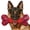 1 PC-Beef-Red, variant on Tough Dog Toys for Aggressive Chewers: Beef Flavored Long Lasting Dog Bones for Large Dogs, Indestructible Dog Chew Toys to Keep Them Busy, Large Dog Toys for Medium & Large Breed