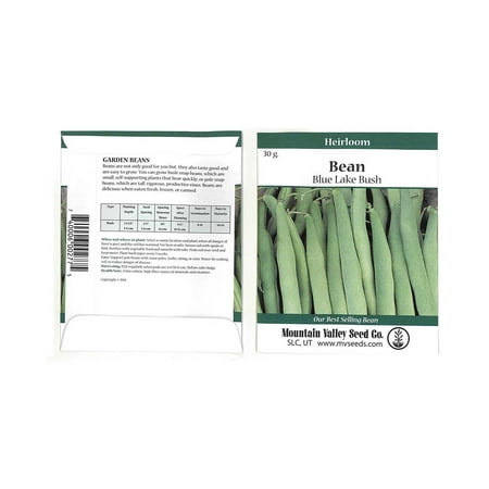 Blue Lake FM1K Pole Bean Seeds - 30 Gram Packet - Non-GMO, Heirloom - Green Bean Vegetable Garden Seeds - Phaseolus (Best Green Bean Seed Variety)