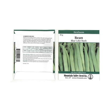 Blue Lake Pole Beans - Blue Lake FM1K Pole Bean Seeds - 30 Gram Packet - Non-GMO, Heirloom - Green Bean Vegetable Garden Seeds - Phaseolus vulgaris