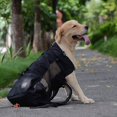 thumbnail image 2 of Dog Carrier Backpack For Small And Medium Pets Front Facing Adjustable Dog Backpack Carrier Fully Ventilated, 2 of 5