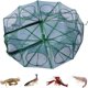 thumbnail image 1 of Trampa de pesca plegable 2024. Nuevo kit de pesca con trampa de pesca. Red de pesca para peces, cangrejos y cangrejos., 1 of 6