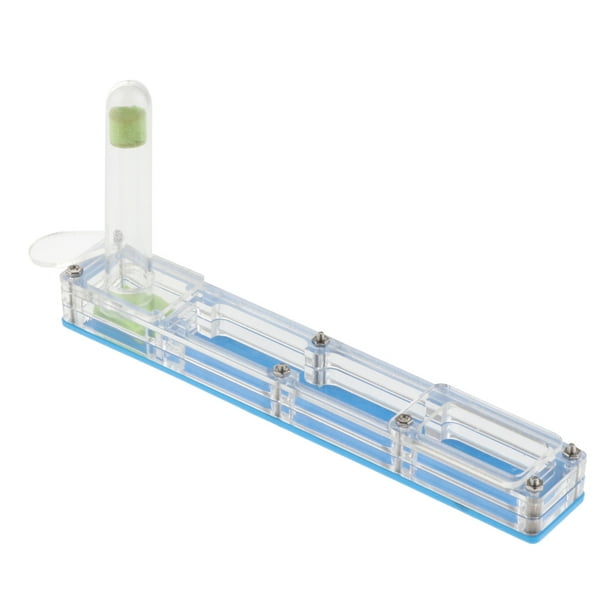 Caja transparente de hormiga de insecto que contiene la caja de acrílico de Formicarium de la granja de la alimentación de hormigas del nido Sunnimix Nido de la vivienda ANT de insectos