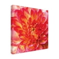 thumbnail image 2 of Trademark Fine Art 'Painterly Flower II' Canvas Art by Lola Henry, 2 of 4