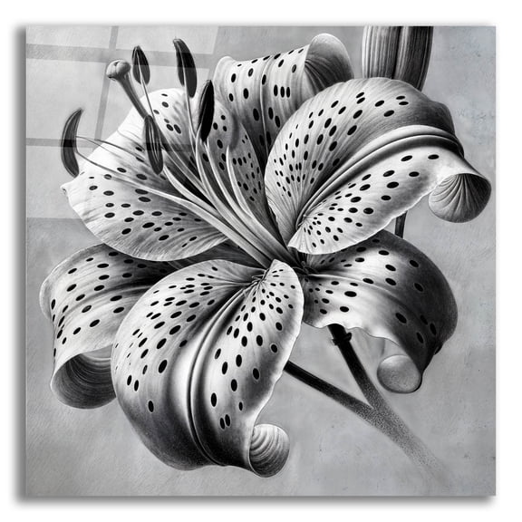 Epic Art 'Tiger Lily Flower' by Rey Klimt Acrylic Glass Wall Art, 12" x 12"