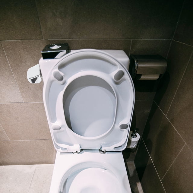 HONMEET Poignée de Levier de Toilette Poignée de Levier de Réservoir de Chasse d'Eau Alliage Électroplaqué Argenté pour Managers d'Hôtel 1Pcs