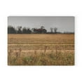 thumbnail image 3 of U R There Photography Freiberger Road Grey Across the Field Rustic Farmhouse Tempered-Glass Cutting Board 8"x 11", 3 of 9