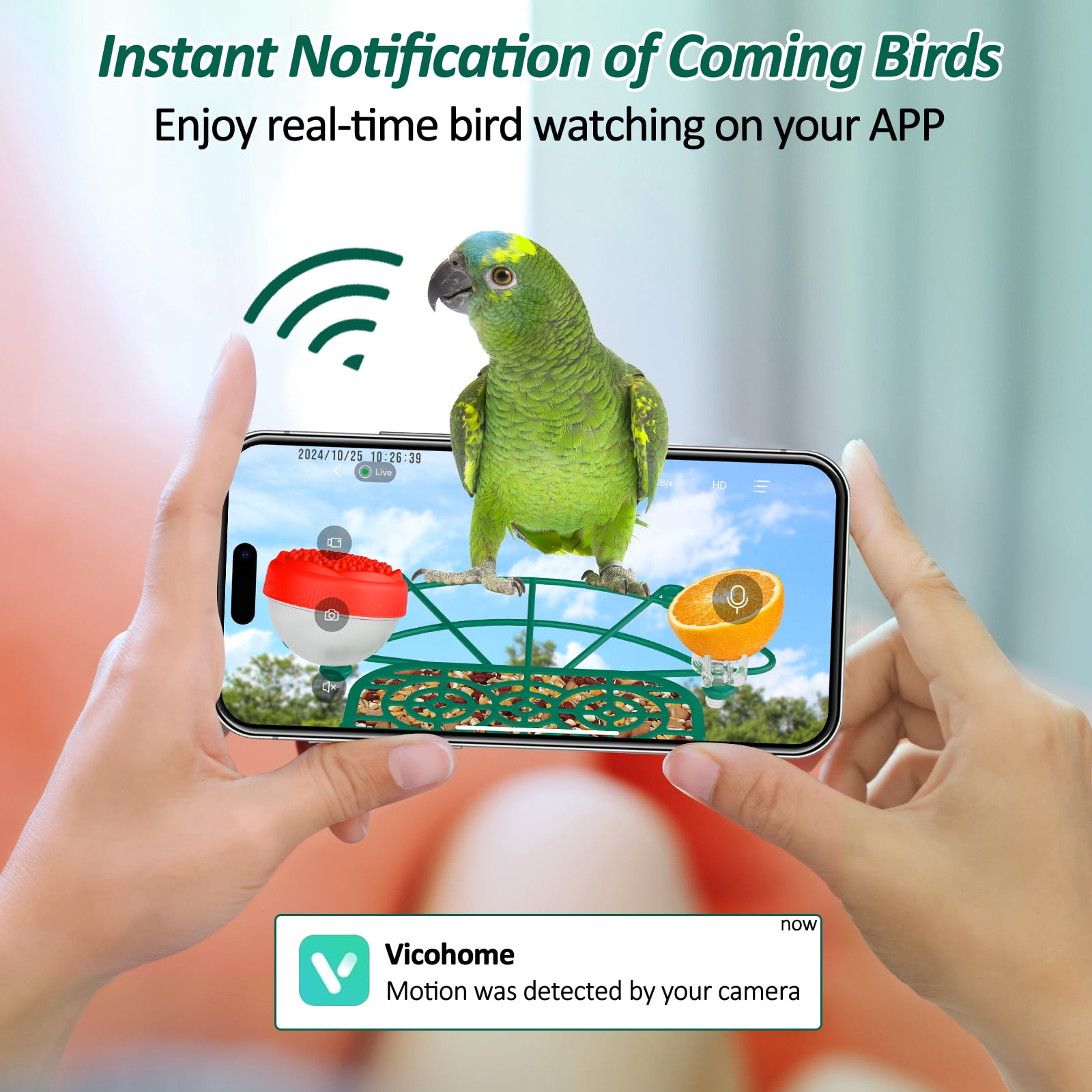 Bird Feeder with Camera, 2K Birds Camera with 3-in-1 Feeding, Drinking, and Bathing | AI Bird Identify, Real-Time Monitoring | IP65 for Outdoors