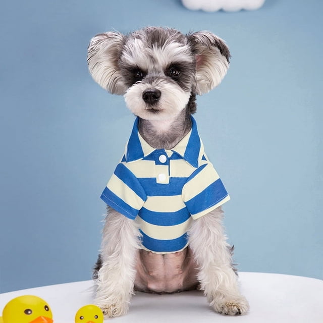 Suministros para mascotas Ropa para perros Verano Rayas Dos patas Osito de peluche Amargo Bo Mei Fa Dou Gato Ropa fina para mascotas