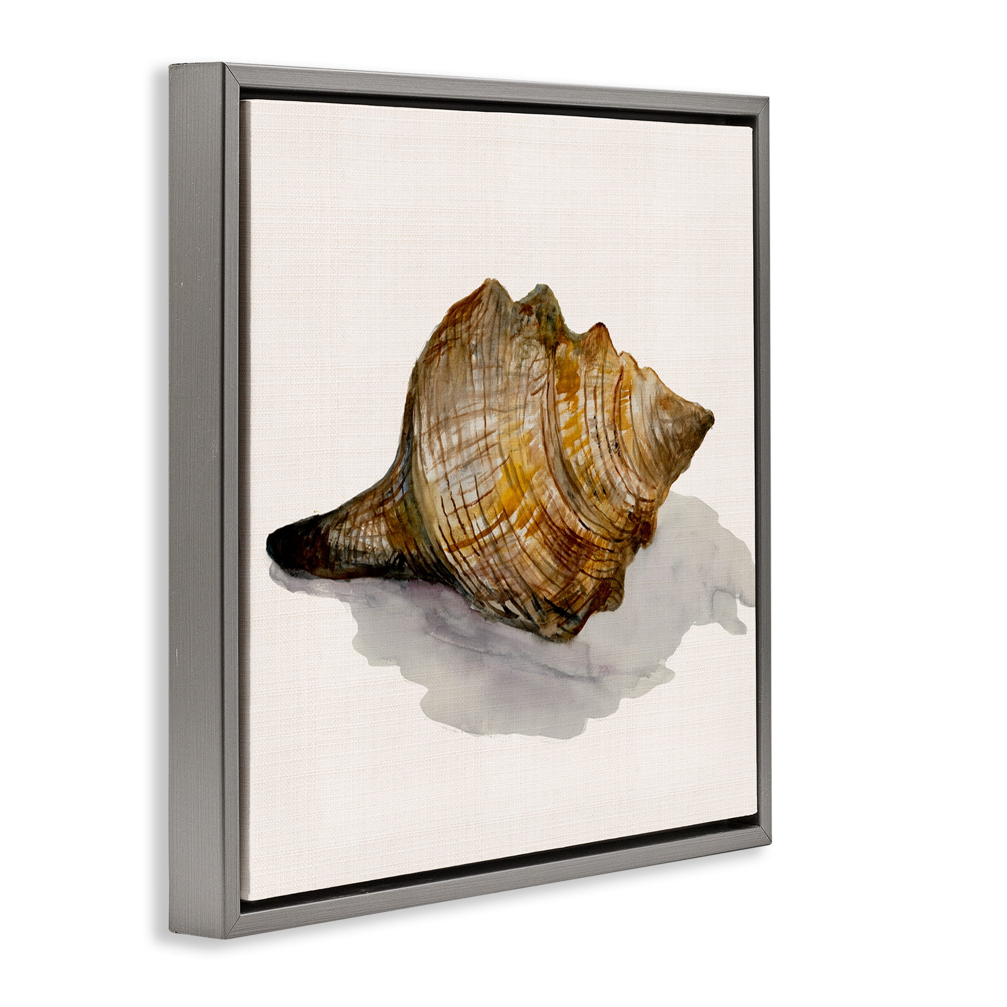 Stupell Industries Conch Shell on Beige Nautical & Beach Painting Gray Floater Framed Canvas Art Print Wall Art, 18 x 18