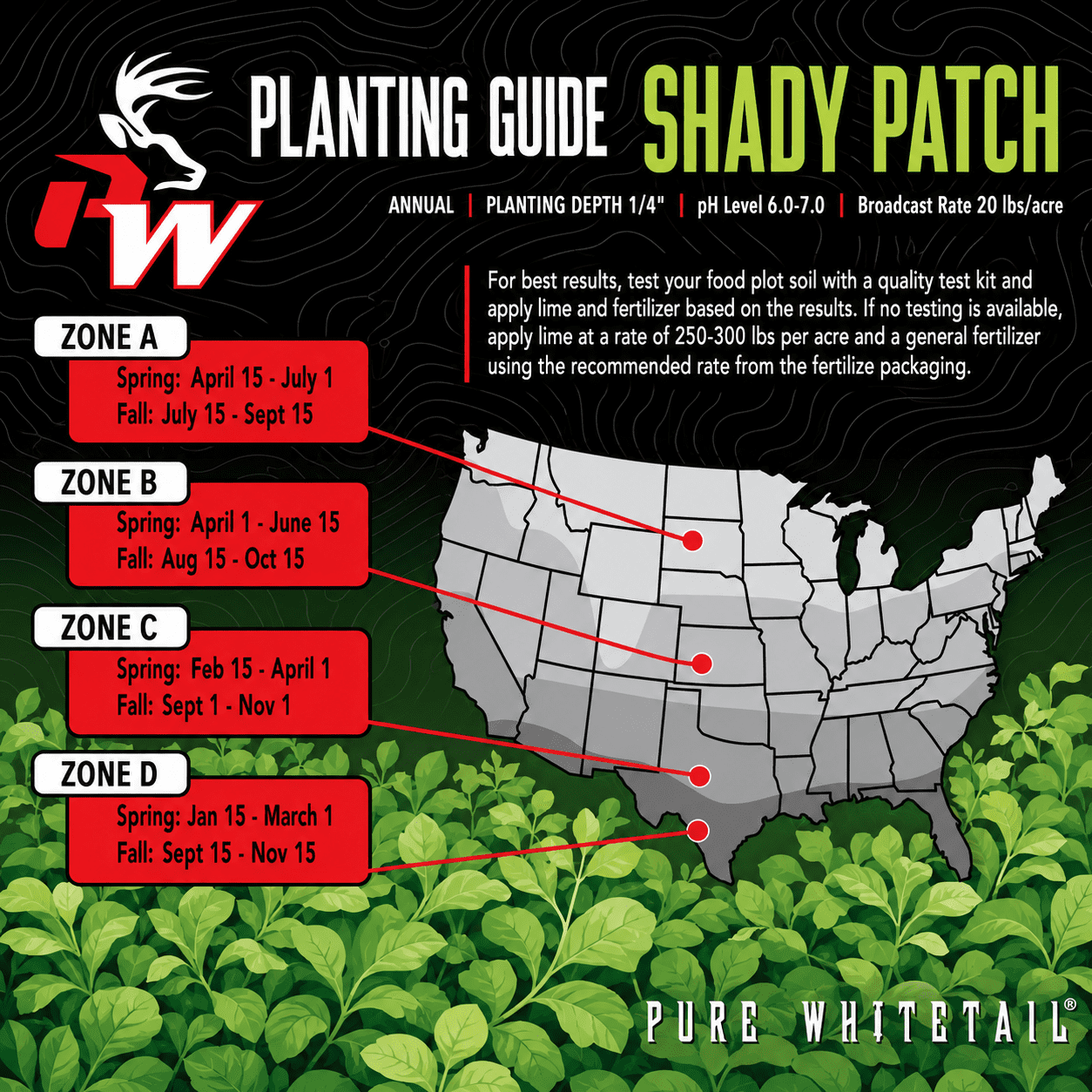 Pure Whitetail Shady Patch forage Plant Seeds, Low Light