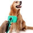thumbnail image 4 of Cepillo autolimpiante para pelo de perros y gatos TUNC eliminación eficaz de pelo muerto, 4 of 5