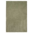 thumbnail image 2 of HomeRoots 353426 Tapis en Polyester Sauge 27 x 45 Po, 2 of 7