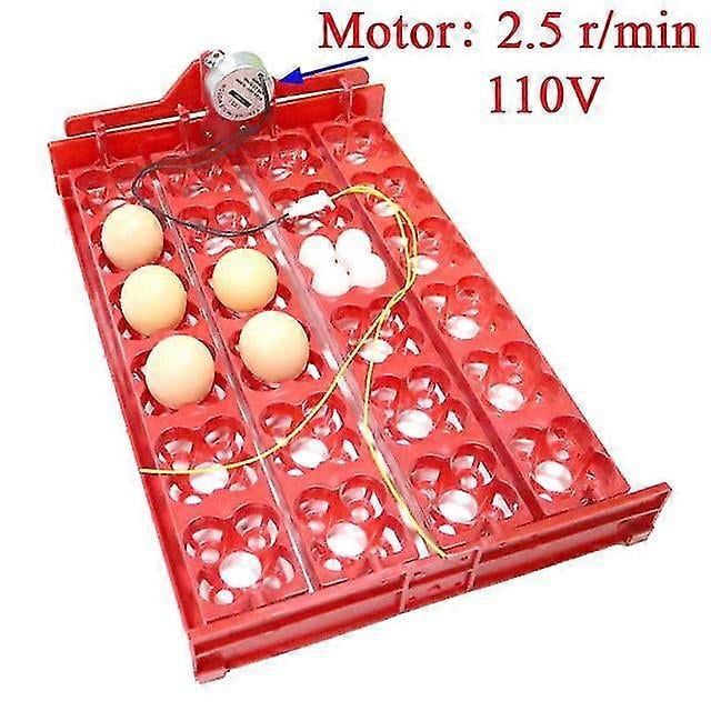 Intor 96 Eggs Bird Intor Egg Rack Tray 24 Automatic Egg Intor 48 Eggs Quail Parrot Int Tool