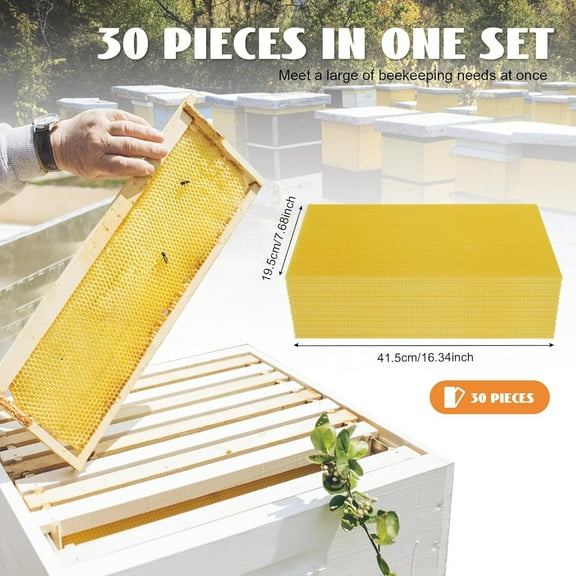 30 Pcs Bee Hive Foundations Wax Foundation for Bee Frames Honey Wax Bee Wax Wax for Beekeeping