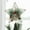 B/B, variant on Kbndieu Christmas Tree Star Topper Metal Xmas Tree Topper Star Christmas Decorations Glittered Tree-top Star for Festive Christmas Decor Holiday Ornament Gifts, Gold