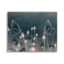 Stupell Industries Abstract Grey Butterflies Meadow Animals & Insects Painting Gallery Wrapped Canvas Print Wall Art