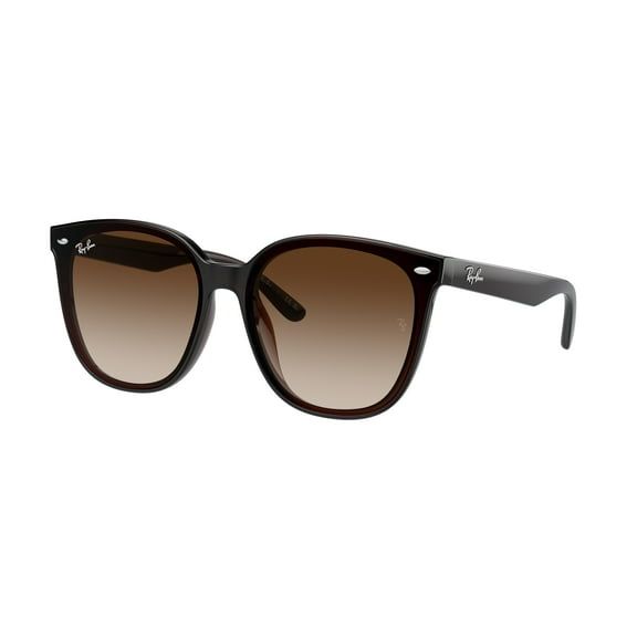Sunglasses Ray-Ban RB 4423 D 714/13 Transparent Brown Gradient Bro