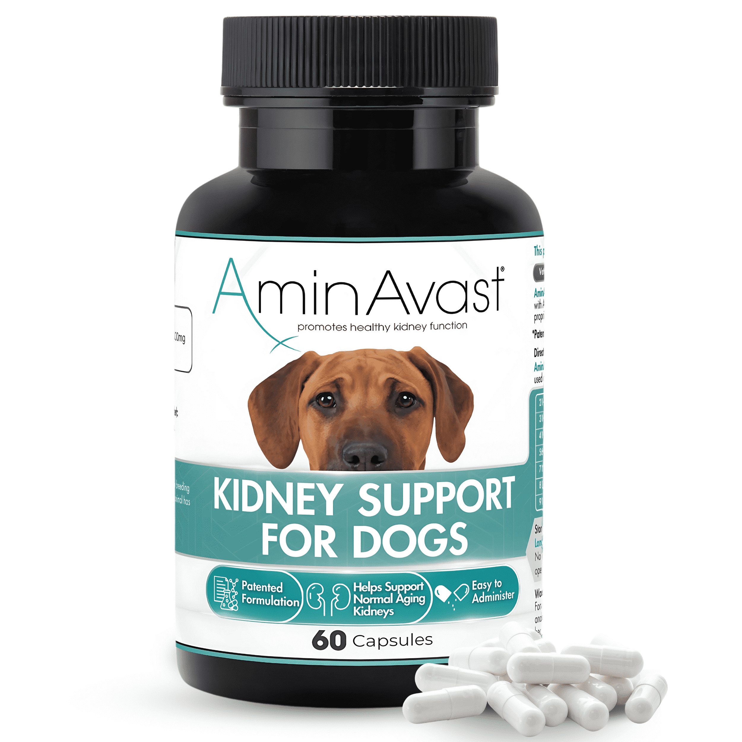 AminAvast 健康サポートサプリメント 60カプセル AminAvast Kidney Support for Cats & Small Dogs, 300mg, 60 Capsules