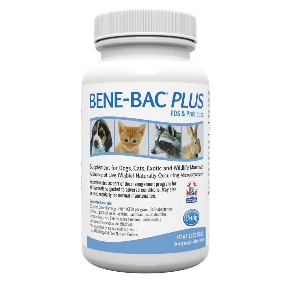 PetAg BeneBac Plus FOS & Probiotics for Dogs & Cats, 4.5 oz. Walmart