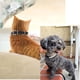 thumbnail image 5 of Collar De Cristal Para Mascotas, Collar De Perro Ostentoso, Collar De Mascota Con Tachuelas De Cristal Brillante Para Perros Pequeños Y Medianos, Gatito sonducket PT001459-03, 5 of 7