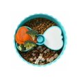 thumbnail image 3 of Puzzle Slow Feeder Dog Bowl, Maze Slow Feeder With Large Capacity For Dry, Wet & Raw Food, 3 of 4
