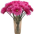 thumbnail image 1 of Artificial Flower 12Pcs 22'' Long Stem Silk Daisy Faux Mums Flower Chrysanth Gerbera for Wedding Bridal Bouquet Bridesmaid Home Decor office Baby Shower Prom Centerpiece(Dark Pink), 1 of 4