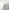 White, variant on Vantona 100% Cotton, 300 thread Count, Sateen Woven Deep Pocket 4-Piece Sheet Set Full Size - Ivory