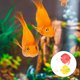 thumbnail image 1 of IFANLANDOR 2Ud Peces Artificiales De Silicona Para De Acuario Simulación Y Paisajismo, 1 of 8
