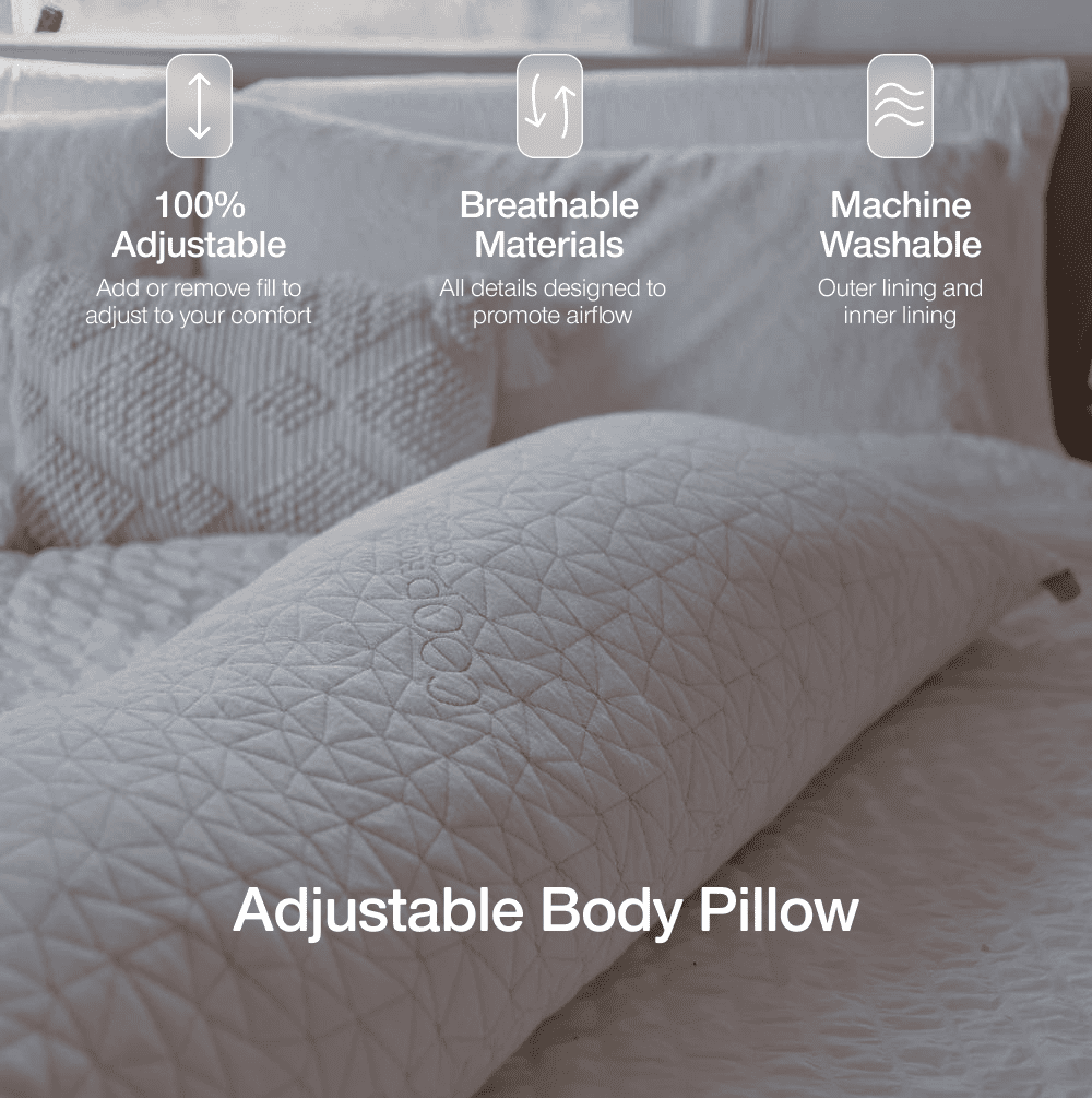 Coop Home Goods Body Pillow for Bed with White Zip Pillow Protector, Pregnancy Pillow Bundle