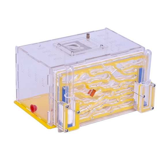 FashionCha ANT Housing Nest Acrylic ANT Farm for Gift Childrens Day Science Observation Yellow