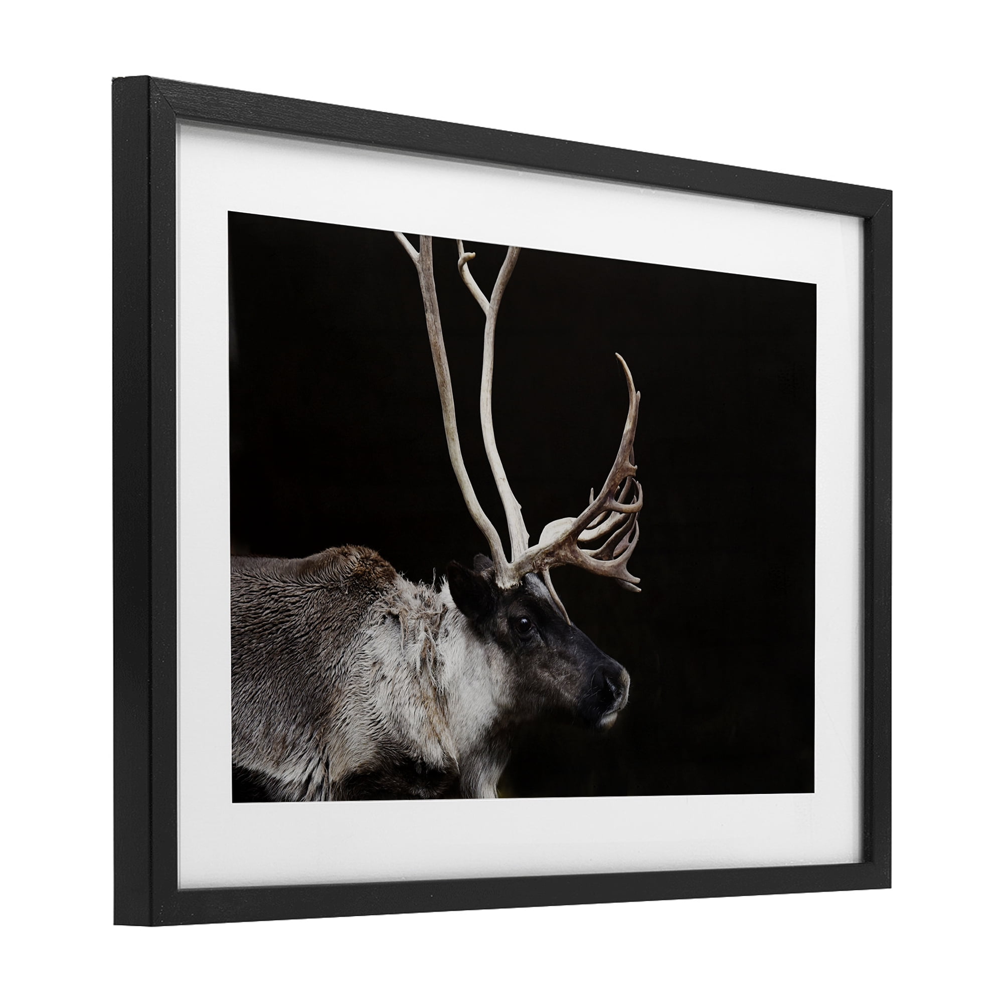 Stupell Industries Dark Reindeer at Night Black Framed Print Under Glass, design by Amy Carroll