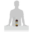 thumbnail image 2 of Monin Raspberry Syrup Sugar Free Pet, 2 of 7