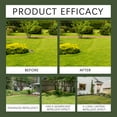 thumbnail image 4 of Deer and Rabbit Repellent Tablets, Natural Essential Oil Scent Repellent, Long-Lasting Outdoor Garden Protector, Safe for Plants, Pets , Long-Lasting Protection with Easy Application,10 PC, 4 of 7