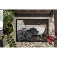 thumbnail image 3 of Carolines Treasures PPP3250MAT Cairn Terrier Bath Time Door Mat Indoor Rug or Outdoor Welcome Mat 18x27 Doormat  18H X, 3 of 3