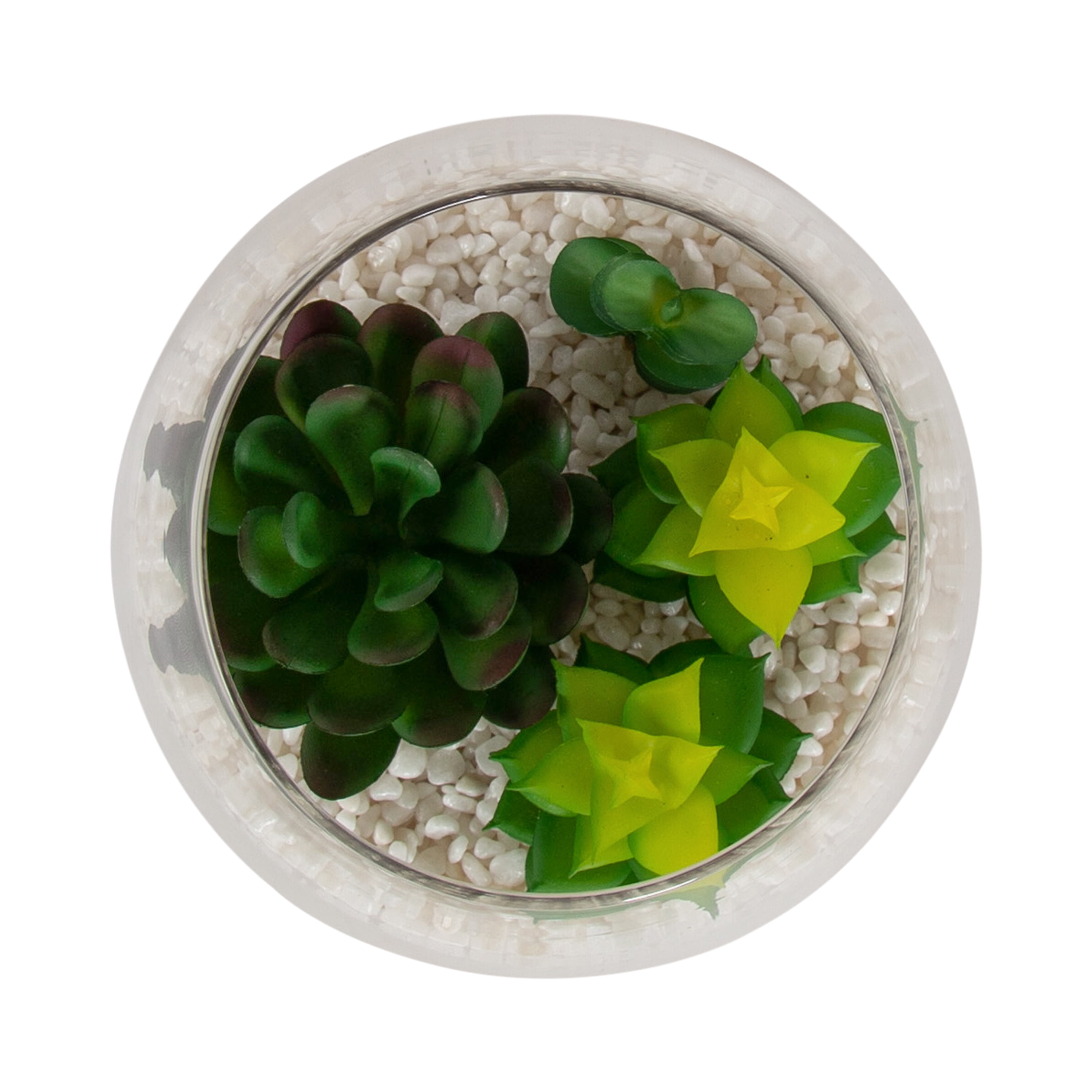 Mainstays 5" Tabletop Faux Succulent Glass Terrarium on Circle Wood Base