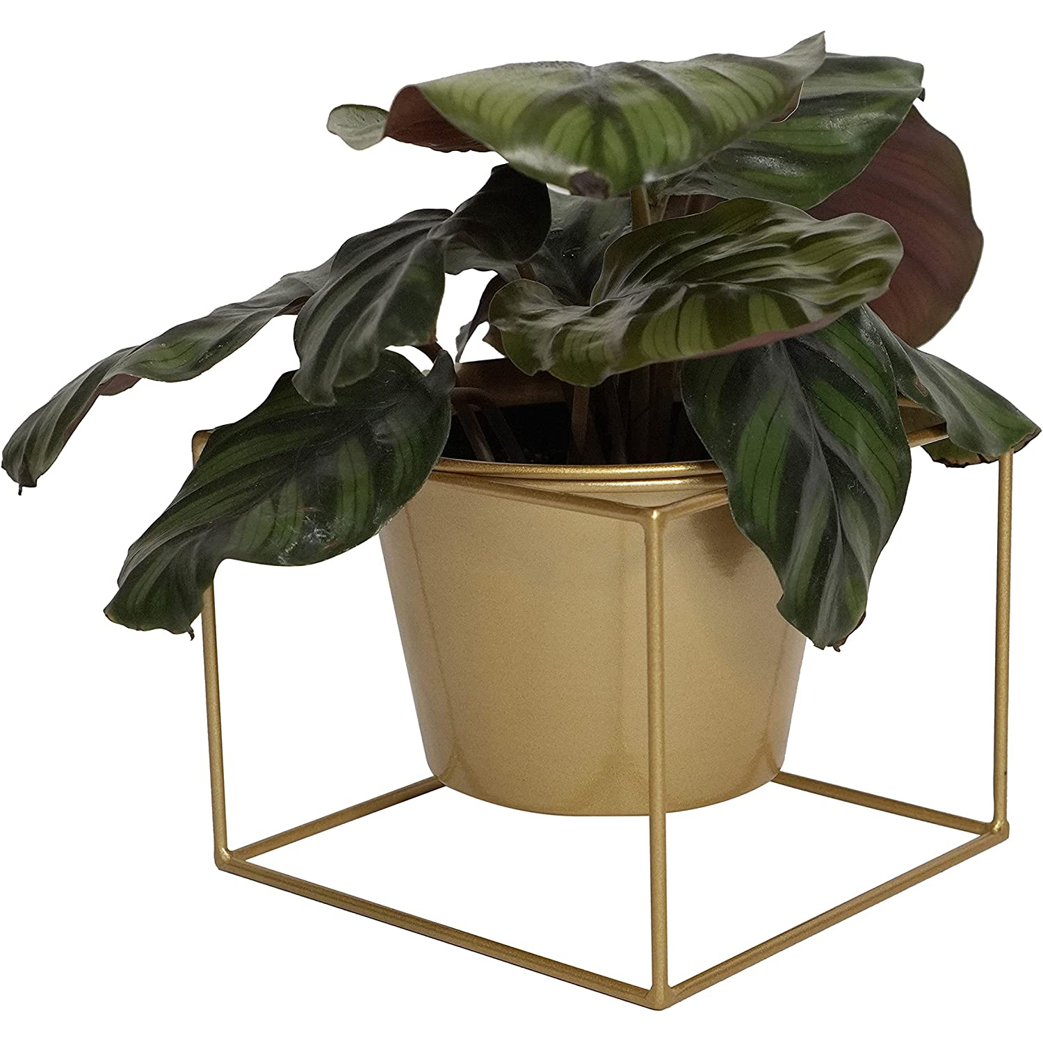 Metal Square 6" Home Garden Flower Plant Holder Removable Pot Stand, Gold 2 Pack