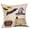 C, variant on Halloween Pumpkin Pillow Covers by Cotton Linen, Halloween Wearing Witch Hat Throw Pillow Case Decorative Cushion Cover 18鈥欌€檟22鈥欌€?Fall Mapke Leaves Skeleton Crow Pillowcases