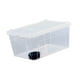 thumbnail image 5 of Caja de alimentación para reptiles, terrario transparente, hábitat, contenedor de incubación reutilizable, caja de cría para gecos, lagartos, , Cuenco negro de 32 x 22 x 15 cm, 5 of 8