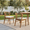 Teak, variant on DRNANLIT Outdoor Dining Chairs Set of 2, Acacia Wood Patio Chairs with Cream Cushion, Light White