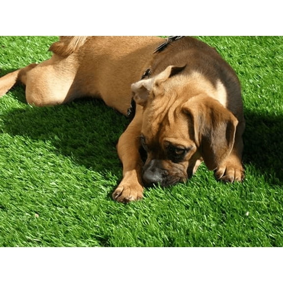 Petgrow Artificial Grass 1.38 Inch Pile Height Turf 8X60 Feet,Indoor/Outdoor Dog Pee Fake Faux Grass,Synthetic Grass Rug Garden Landscape Patio,Drainage Holes