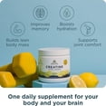 thumbnail image 2 of Ancient Nutrition Creatine + Collagen + Electrolytes Powder, 5g Creatine Monohydrate, Muscle Strength & Joint Support, Lemon, 30 Servings, 2 of 7