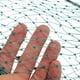 thumbnail image 4 of Trampa para cangrejos, trampa para pececillos, trampa para peces de cangrejo, trampas para cangrejos de río plegadas, 4 of 6